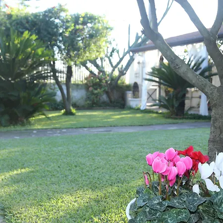 Maison Blanche Отель типа 