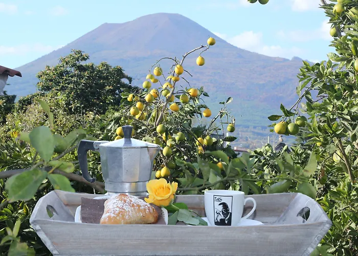 Nocleg ze śniadaniem Maison Blanche 4*